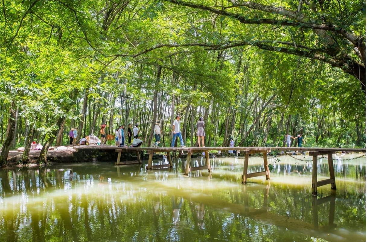 西溪南湿地古村落图片