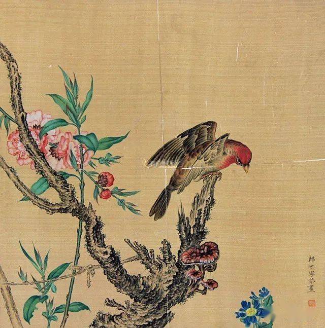 郎士宁的精品画花鸟图片