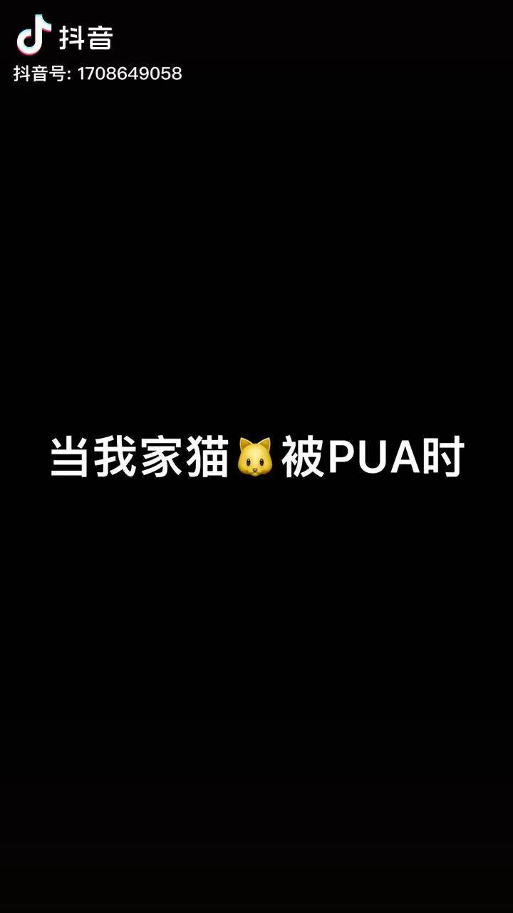 抖音猫回应=抖音猫会说话怎么弄的