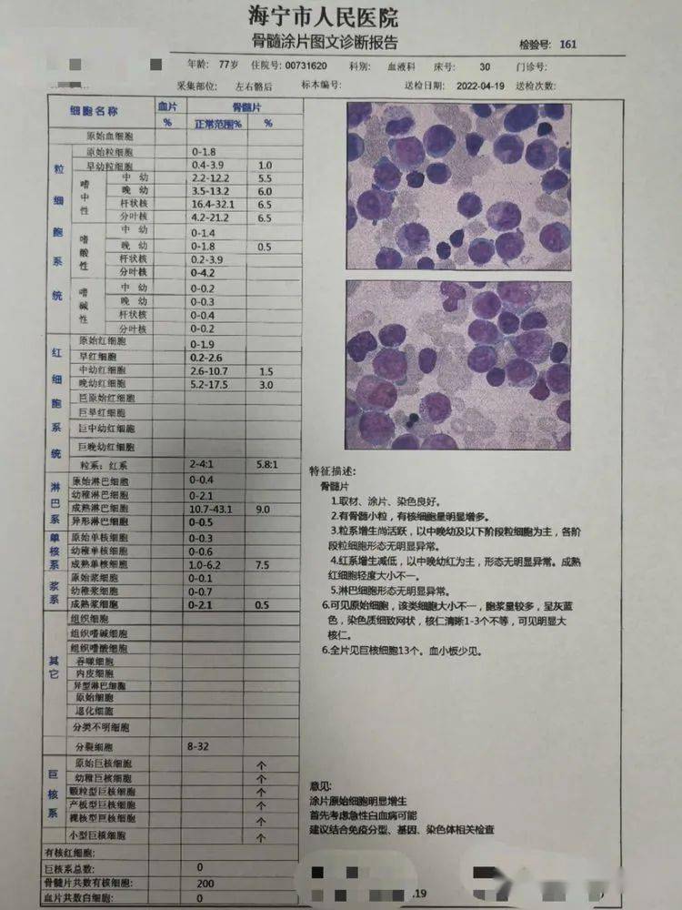 白血病血常规报告单图片
