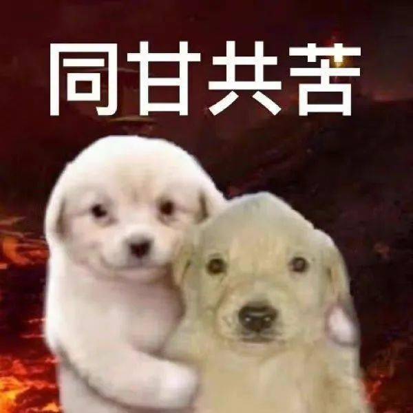 沙雕可爱表情包 i 同甘共苦_熊猫头_毕业_生活