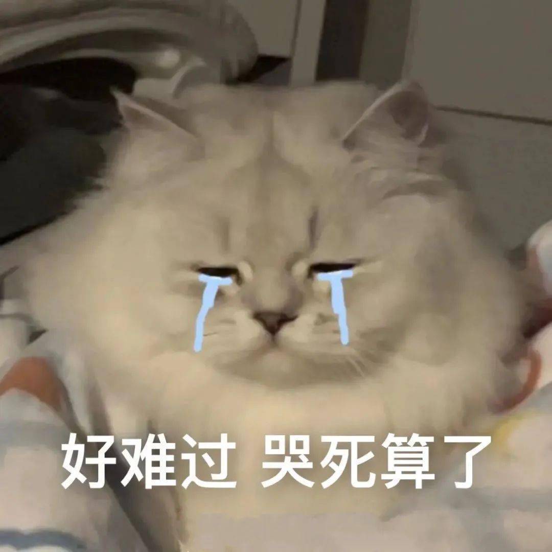 伤心流泪猫猫头表情包