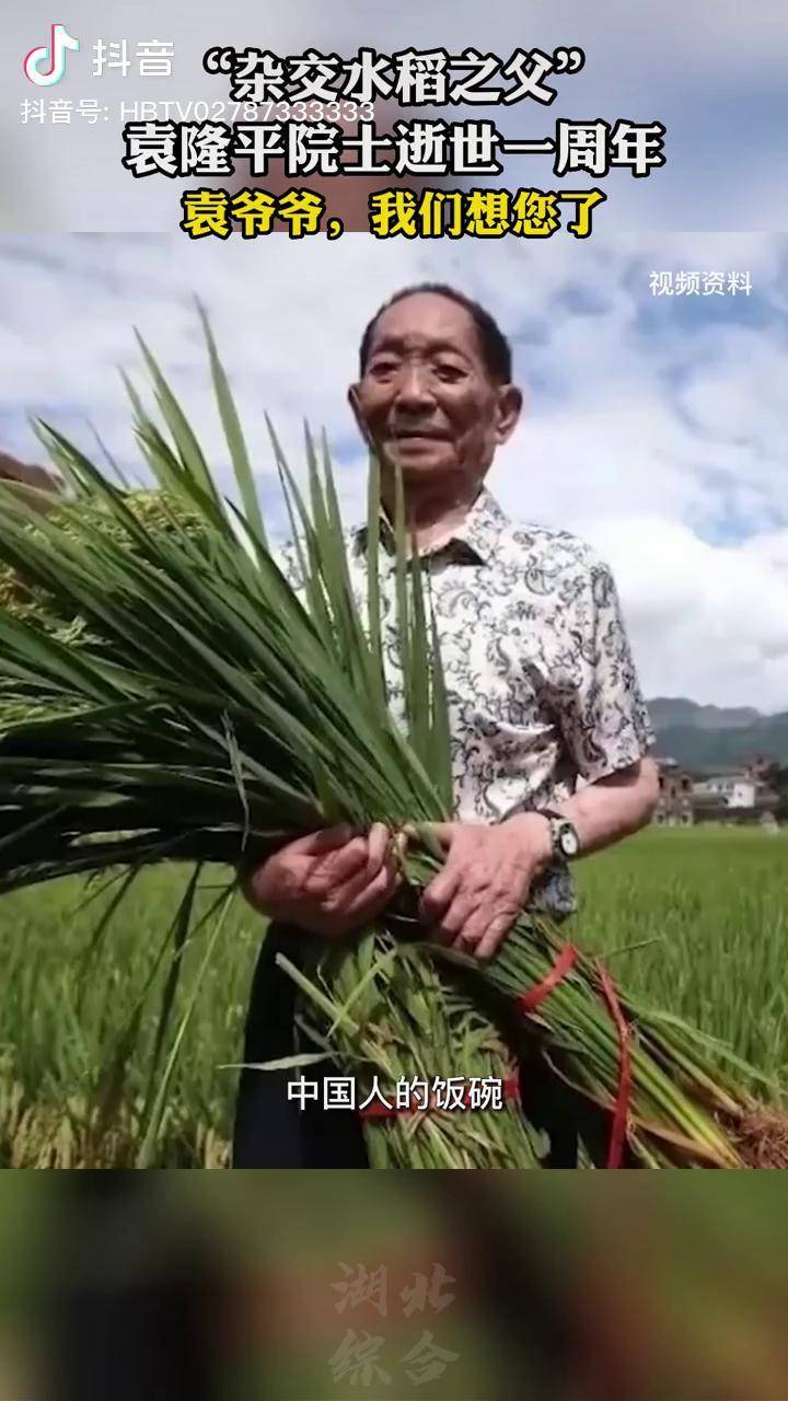 5月22日,袁隆平逝世一周年 禾下乘凉梦,十里稻花香!怀念袁老