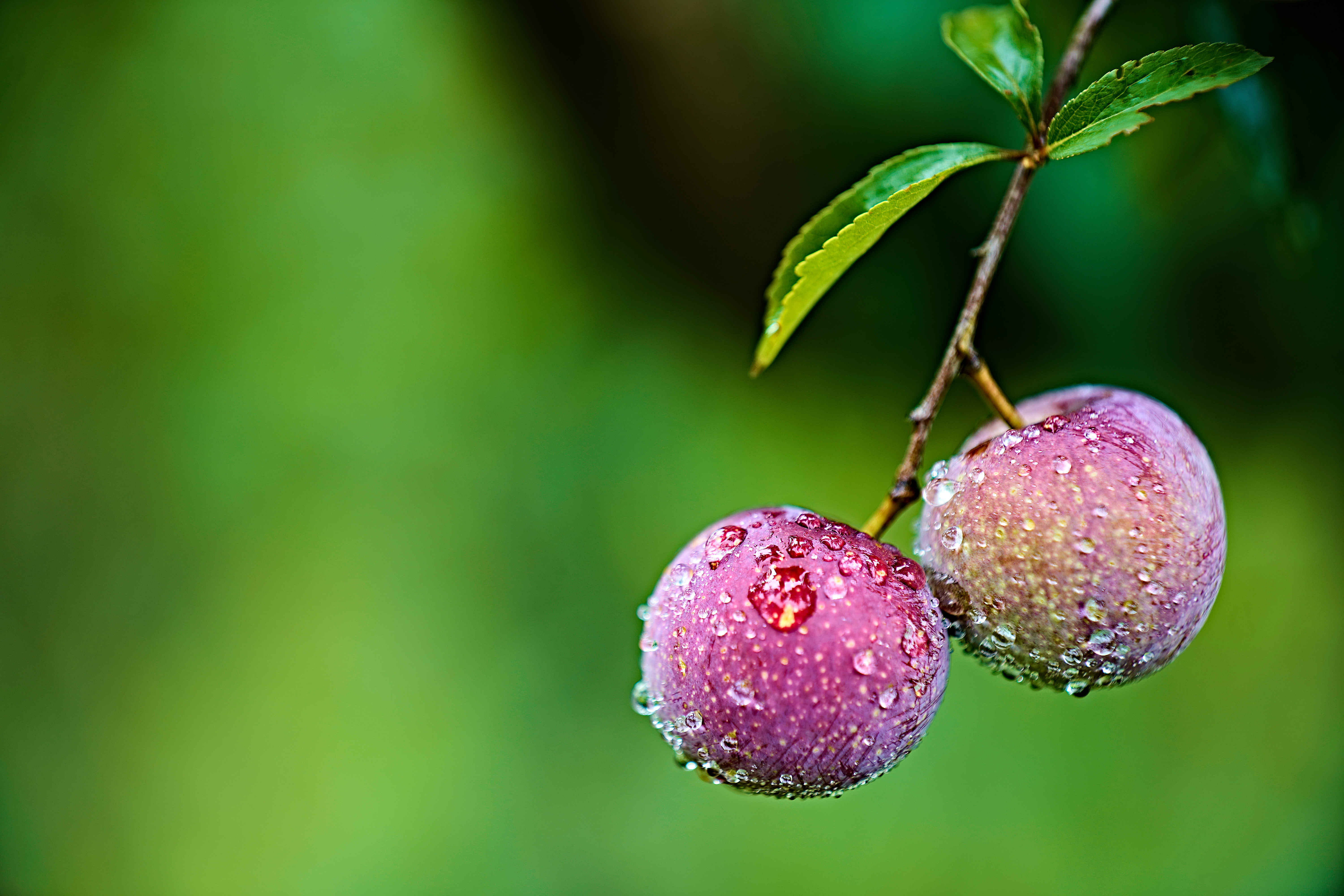 微视界——立秋_新华社_贵州省_山东省