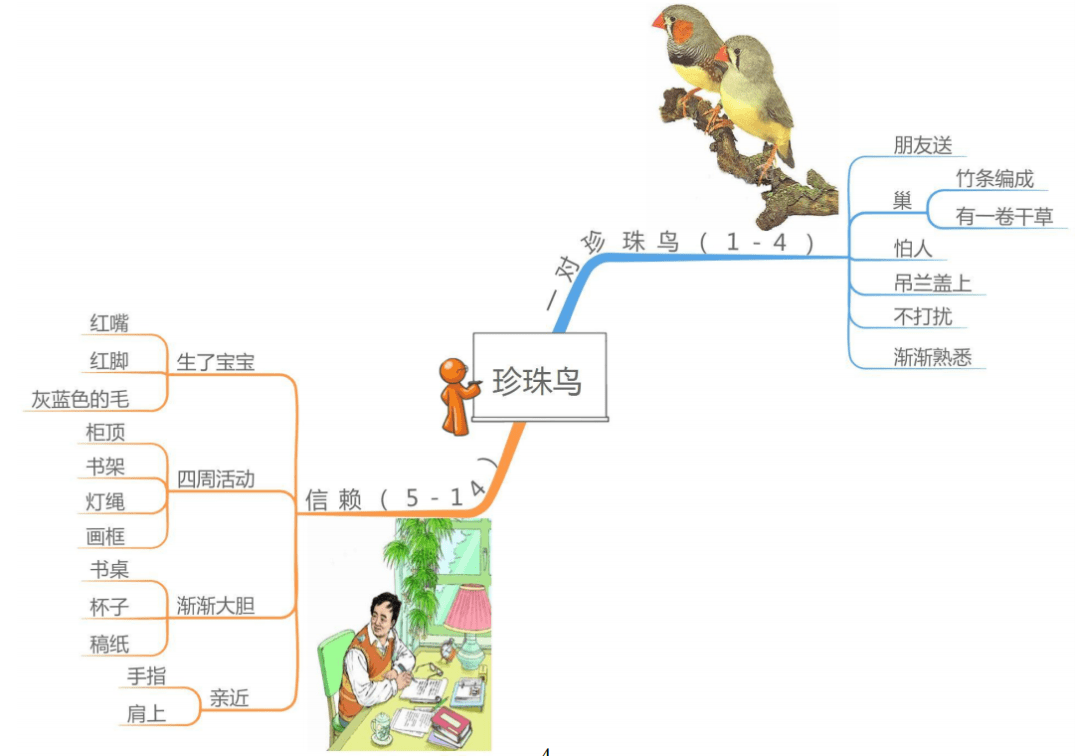 4珍珠鸟课文思维导图图片