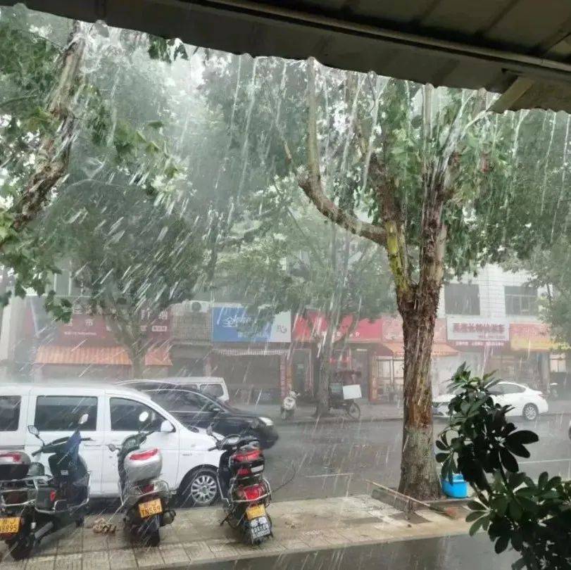 注意!周末两天,“高温+暴雨”双管齐下_天气_台州_雷阵雨