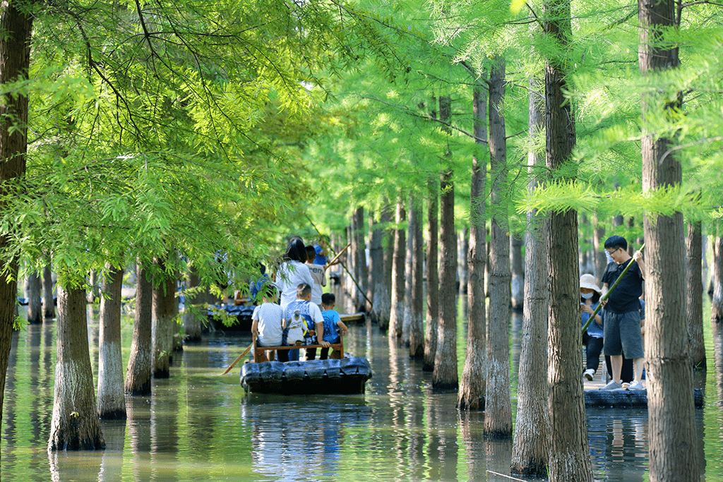 泗洪洪泽湖生态旅游度假区入选江苏省网红度假空间赶紧戳进来看看