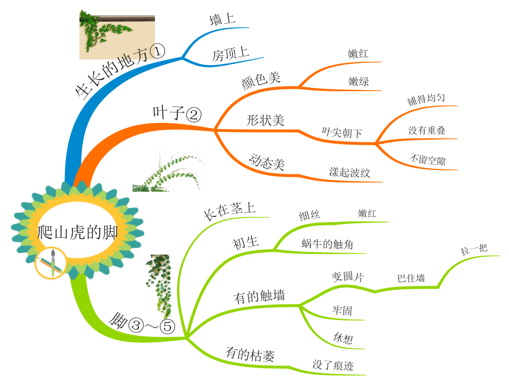 四上全册课文思维导图清晰版