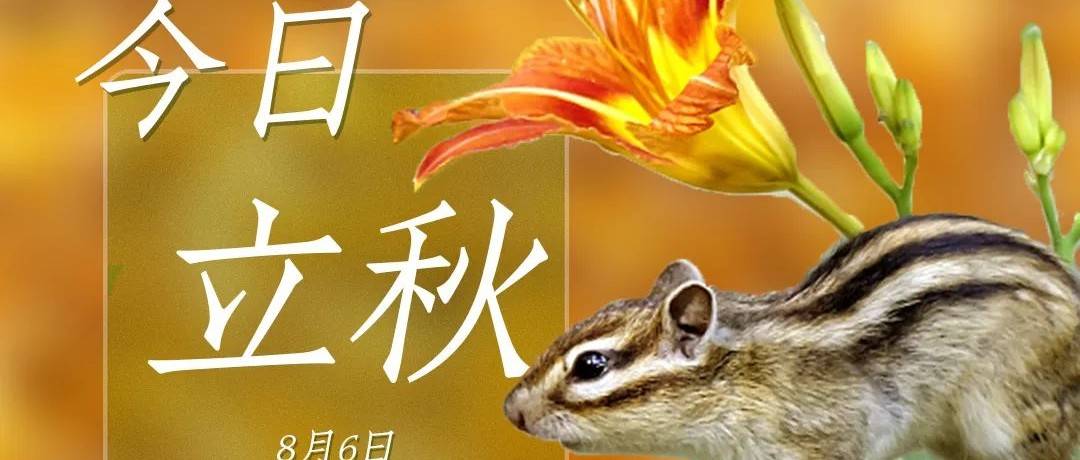 二十四节气 | 用这九张图带你走进立秋~_农谚_天气_秋雨