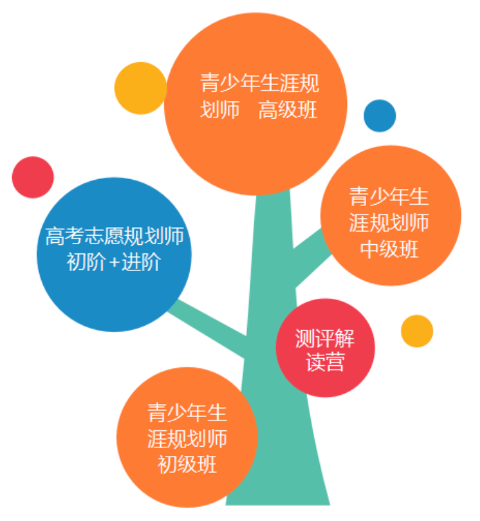 高考志愿填报指南：让青春扬帆起航