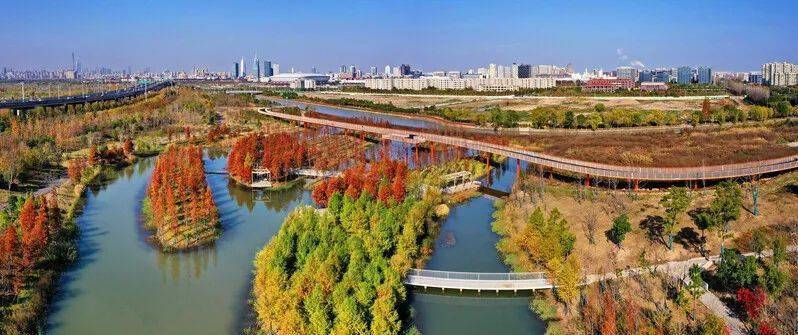 超300万平方米上海十四五将建成开放4片楔形绿地