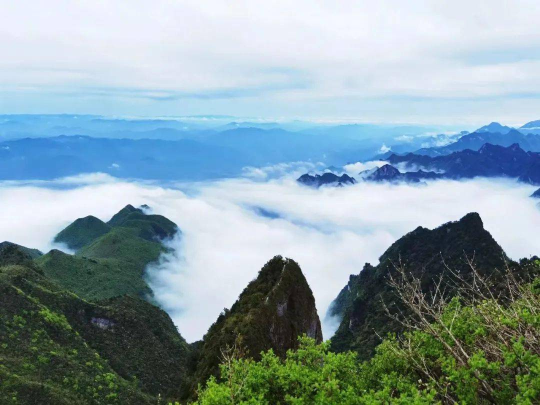 万源八台山:赴一场清凉之约!_云海_仙境_自然