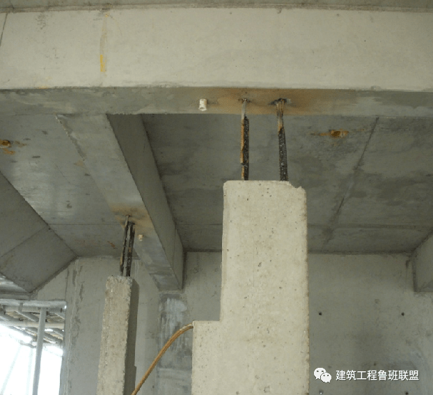 马蹄筋建筑图片