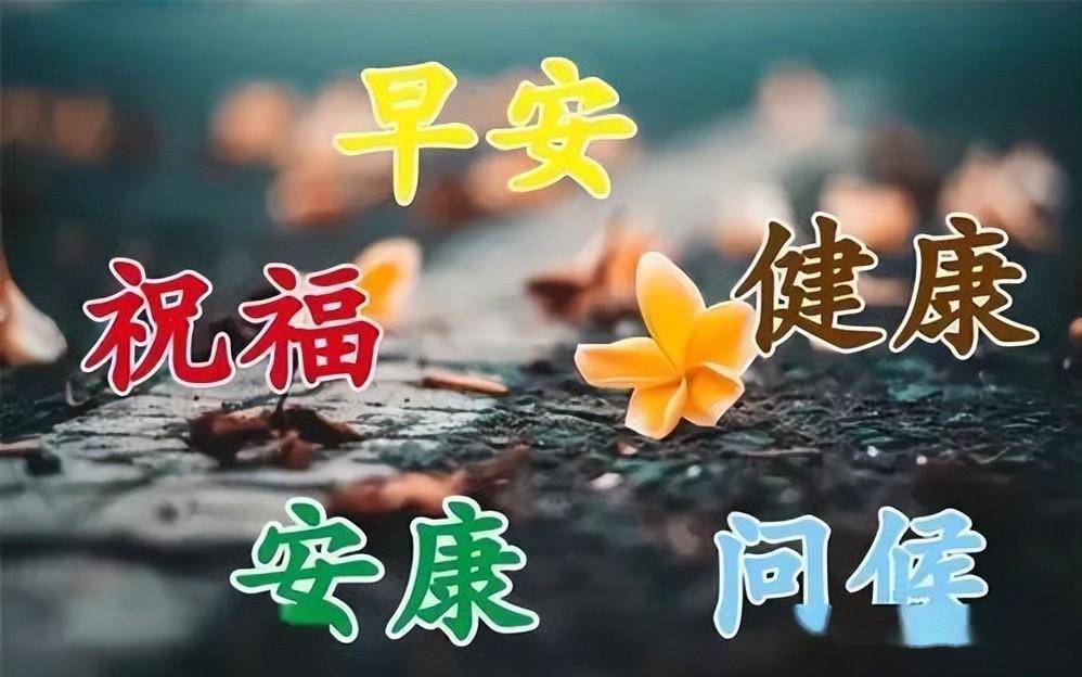 甄選最新早上好表情大全吉祥好運送給你