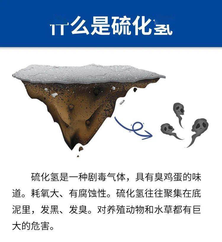 高温期改底套餐：氧化池底黑泥臭泥去除硫化氢！