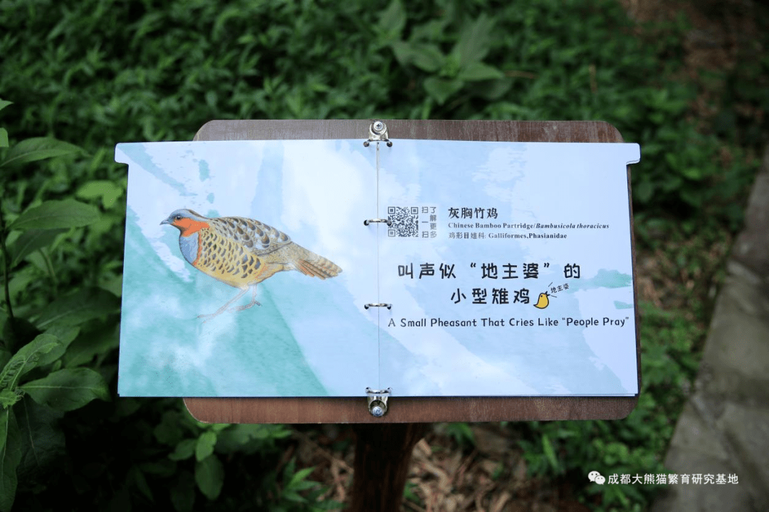 鸟类科普展示花样多 公众观鸟爱鸟兴趣浓