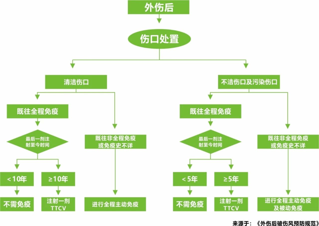 破伤风注射部位图解图片