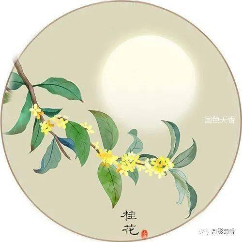 意蕴飘逸的品质和灵气,曾被"千古第一才女"李清照盛誉为 :"自是花中第