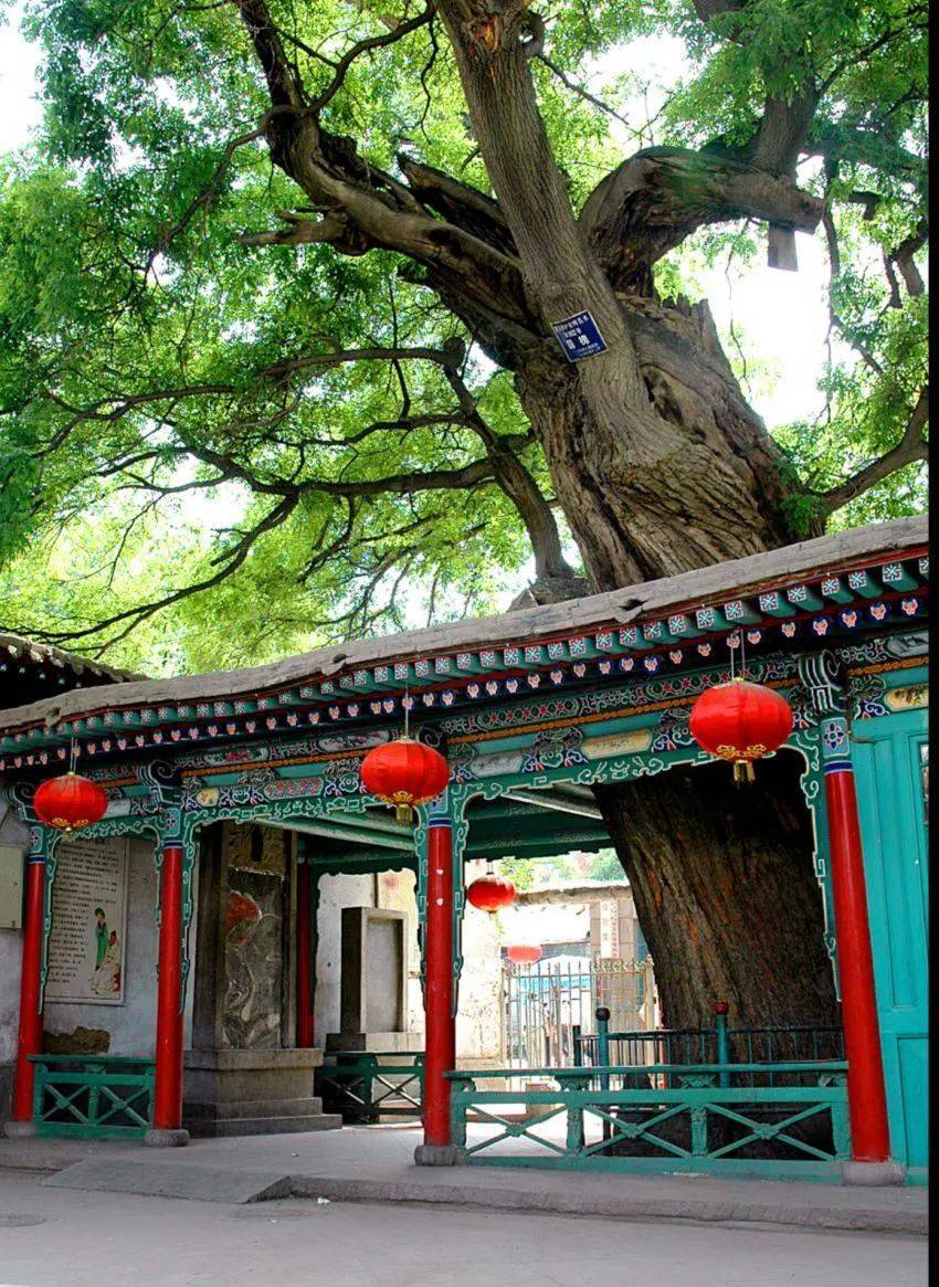 金城瑰宝(十七)金天观丨厚植家国情怀 传承黄河文化_兰州_雷祖殿_肃王