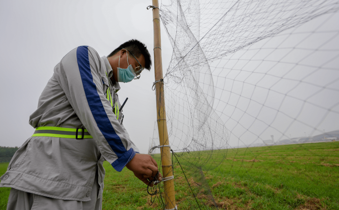60烤验徐州驱鸟人的一天