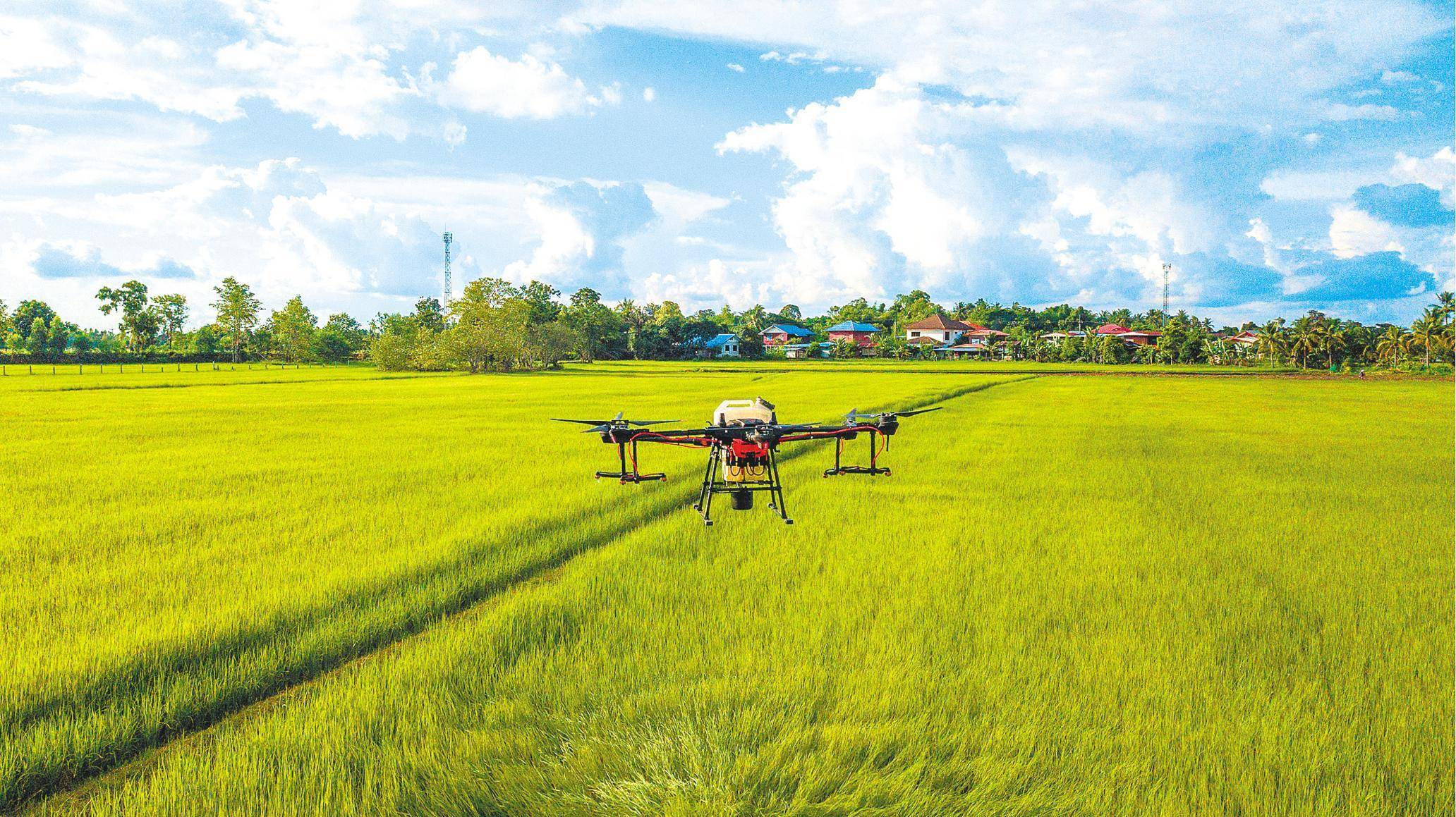 中国造无人机 助力泰国农业发展