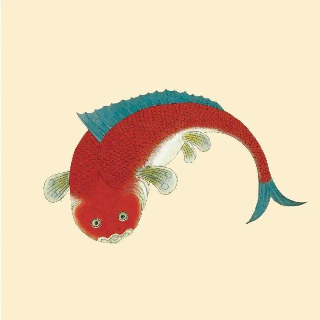 深藏清宫300年《海错图》_海洋_聂璜_译注