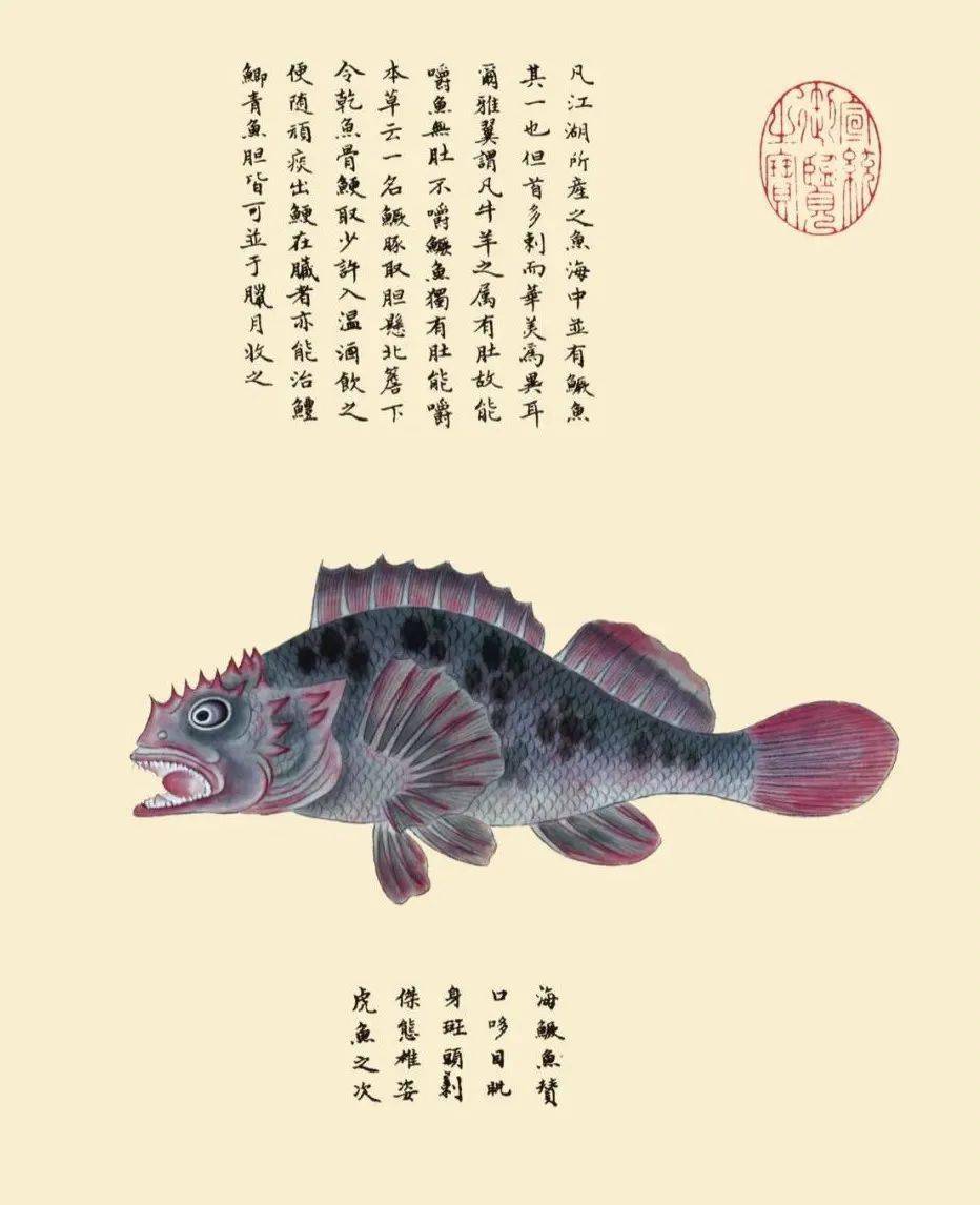 深藏清宫300年《海错图》_海洋_聂璜_译注