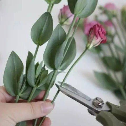 买了一束花回家,然后呢?_花梗_花器_处理