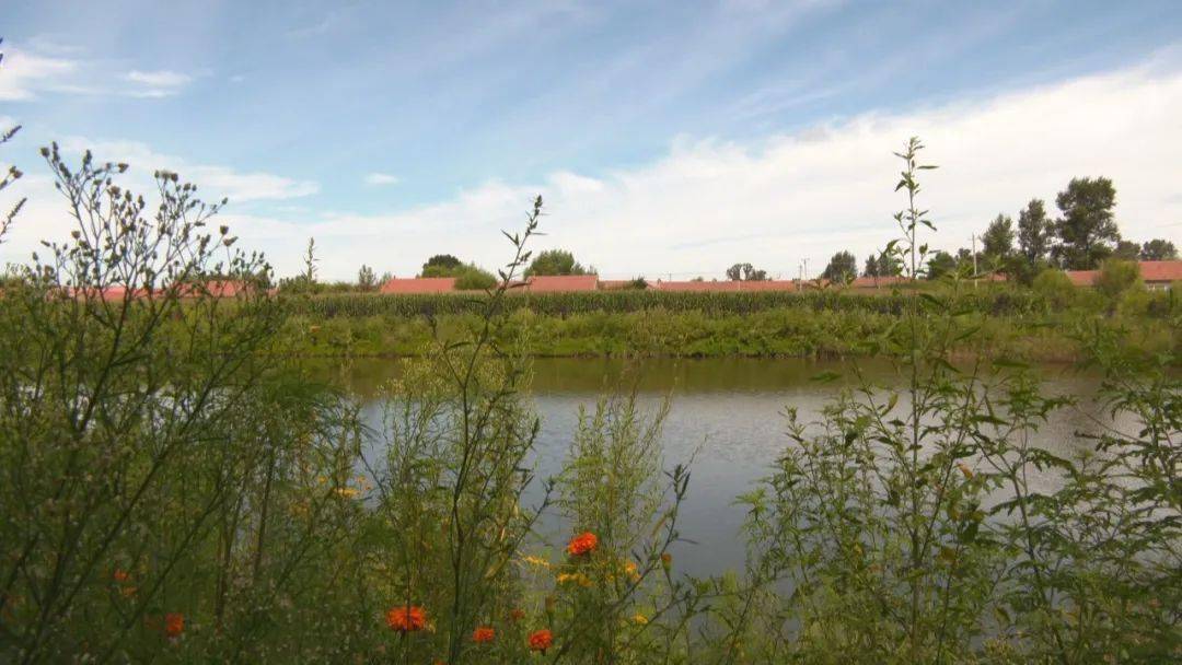 公主岭双城堡镇环境整治成效显著集体经济增长迅速