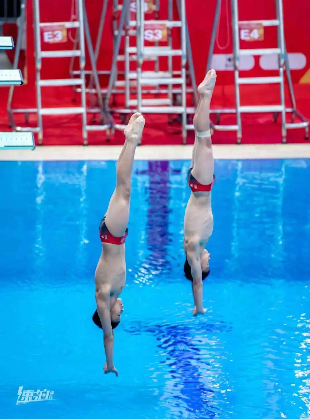 省运会跳水决赛收官 多举措夯基垒台助推长效发展_王峰_人才_项目