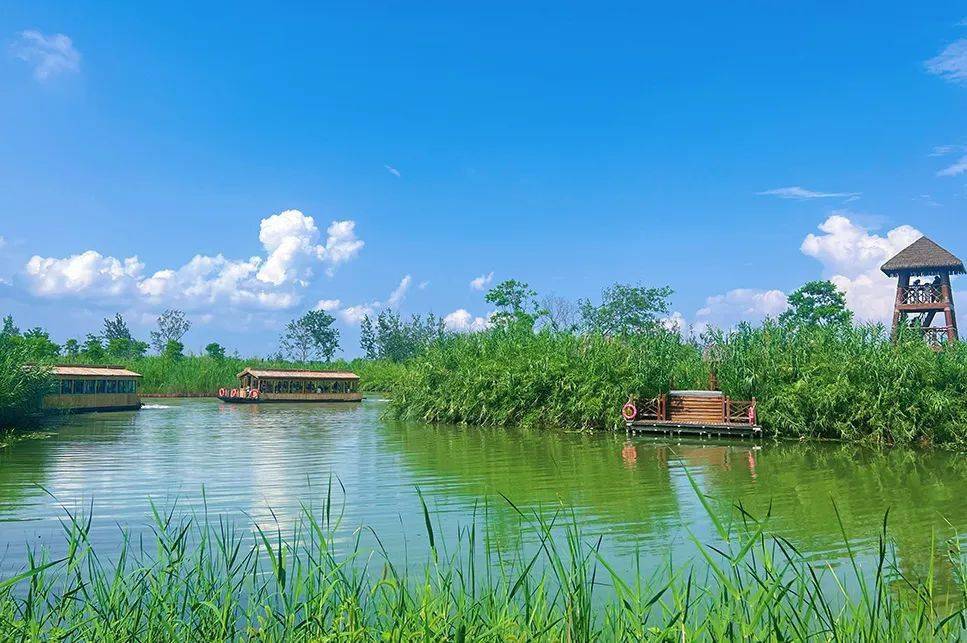 洪泽湖湿地公园 沙滩图片