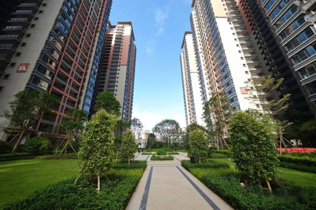 宾阳城东区这项工程太吸睛,又将会引来谁的羡慕嫉妒?_实景_园林_公园