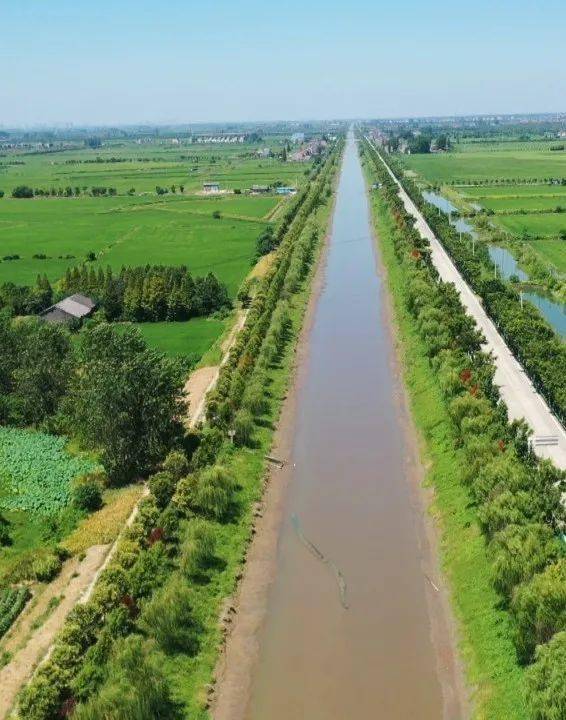 江陵县沙岗镇党委副书记,镇长 王卉积极协调灌区和上游乡镇为沙岗进行