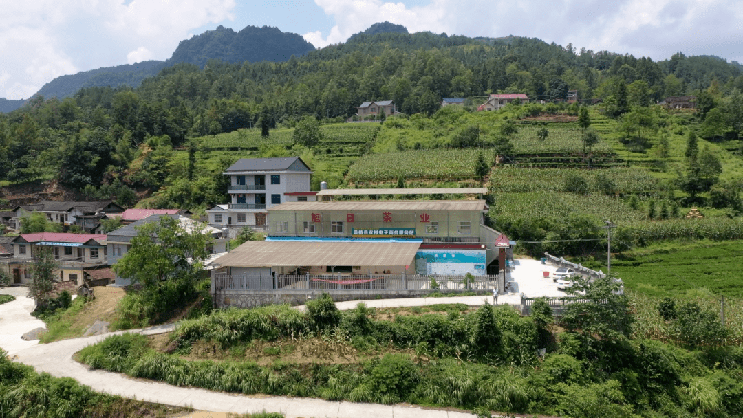 张家界市首届"双十佳"评选展播 | 桑植县陈家河镇大屋坝村_群众性