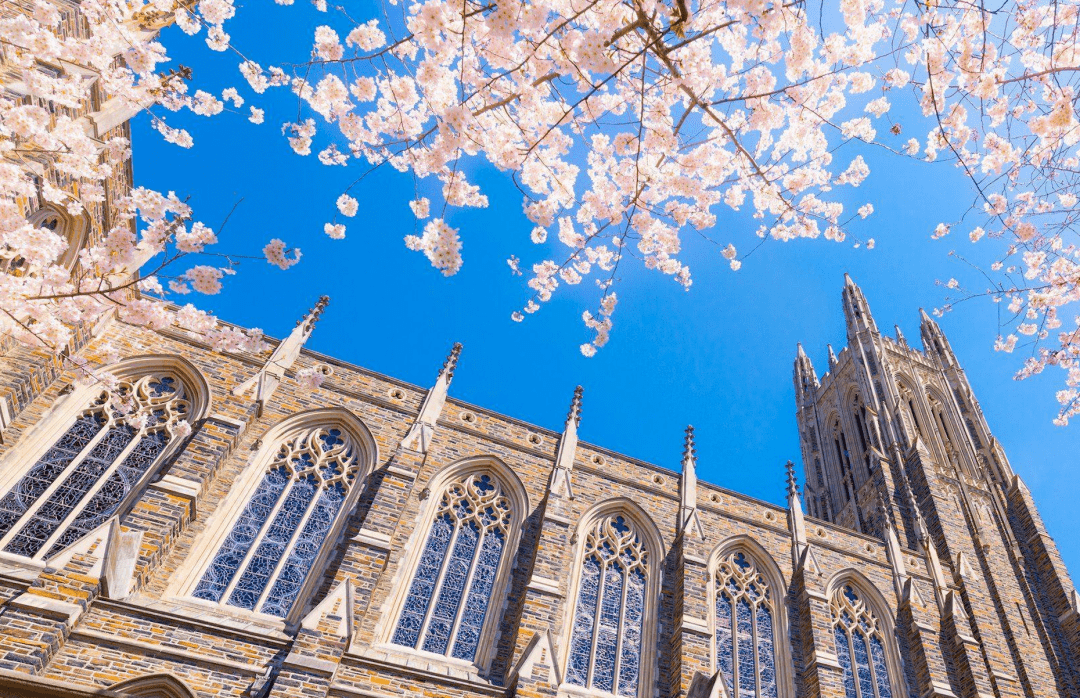 哪来的"野鸡榜单"天天蹭我们藤校的名声?_常春藤_声望_院校