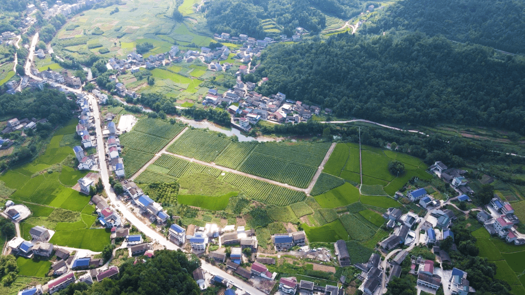 张家界市首届双十佳评选展播 