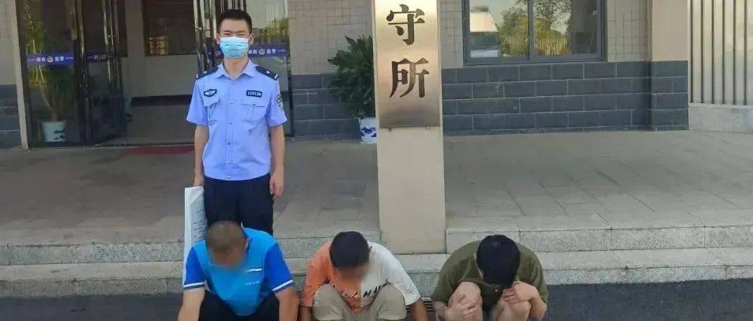 沅江抓获3男1女！_受害人_诈骗案_刘某鑫