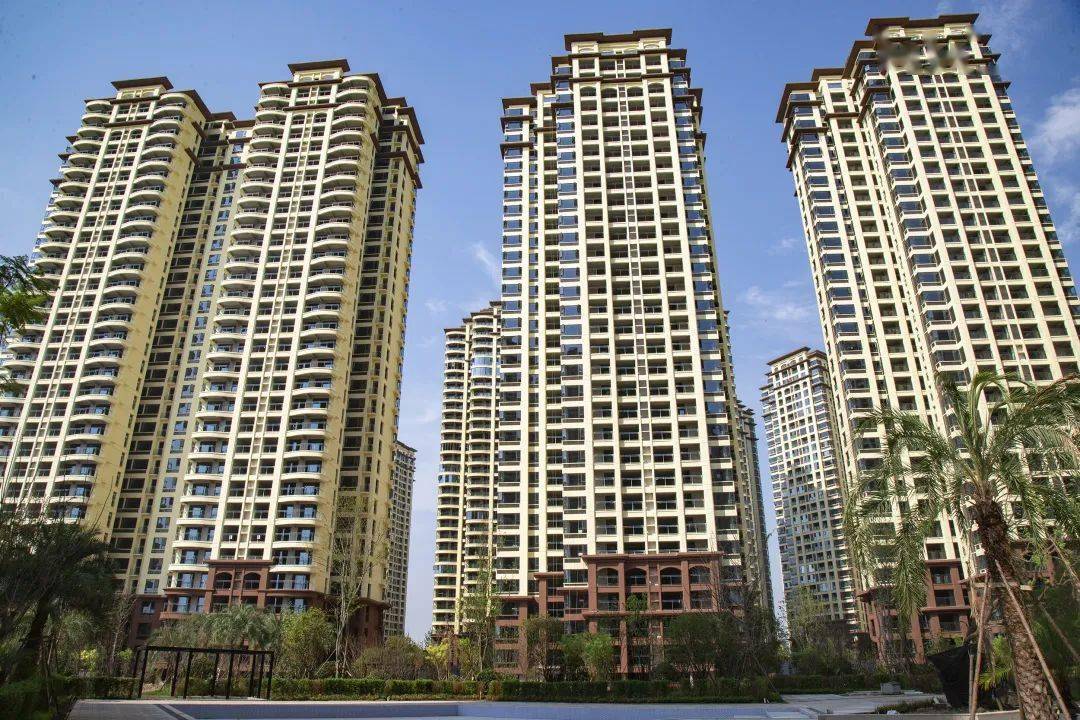 烈日下的信智城,大盘品质"火热"呈现