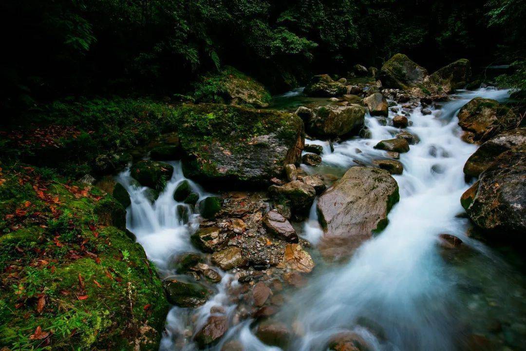 鱼泉山风景区图片