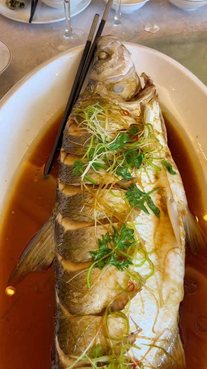 抖音美食推荐官 #打卡网红餐厅 #野生鱼_丹江_尾翘_淅川