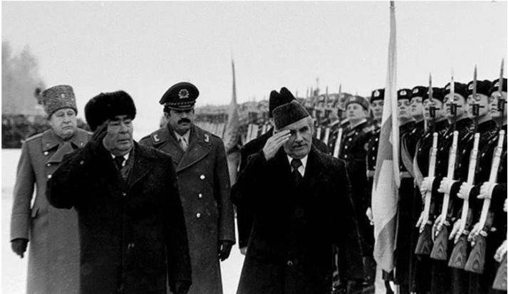 亲密朋友被害,勃列日涅夫勃然大怒:苏联为什么要打阿富汗?