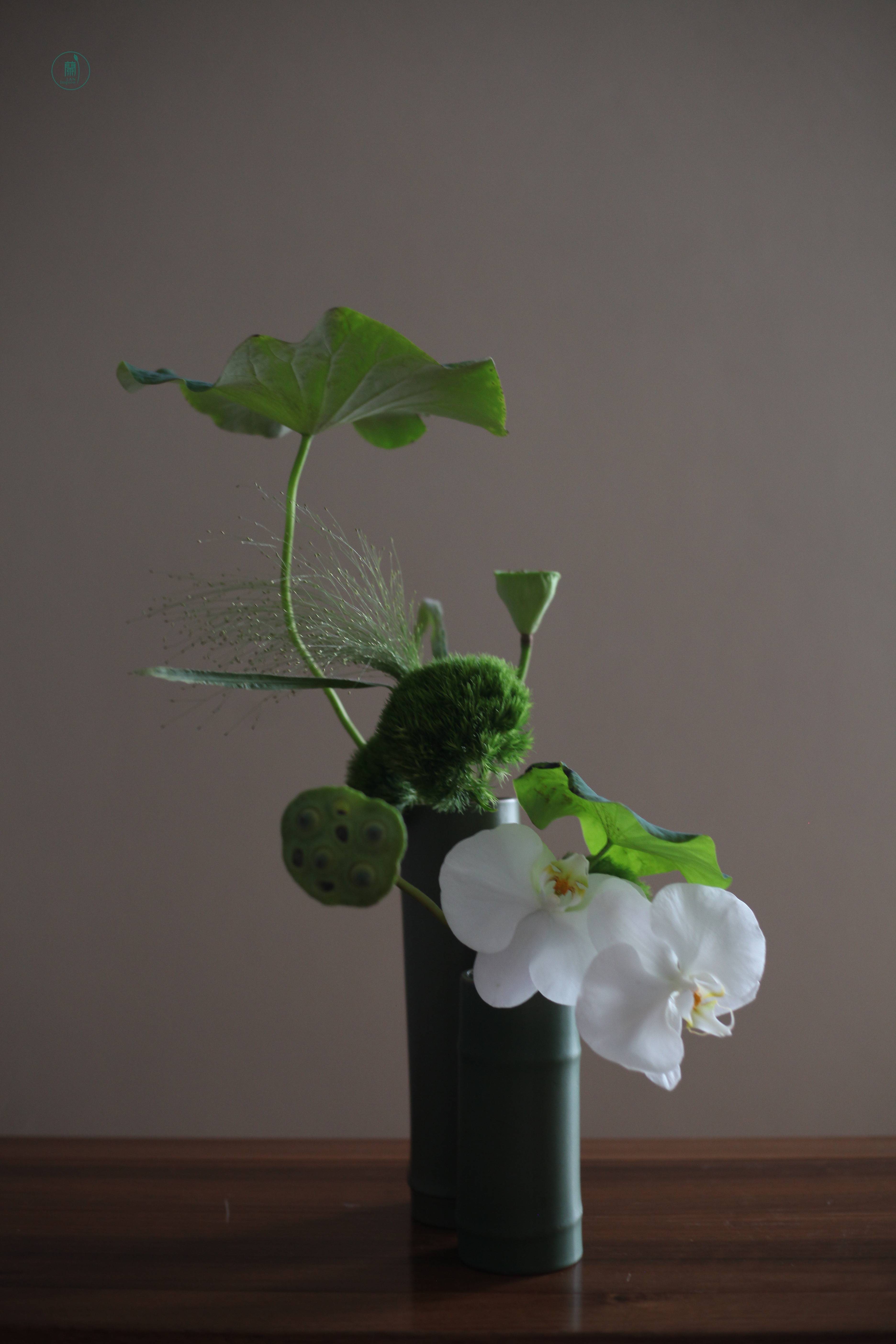 西安插花培训|蘭印象小原流花道教室#花道课