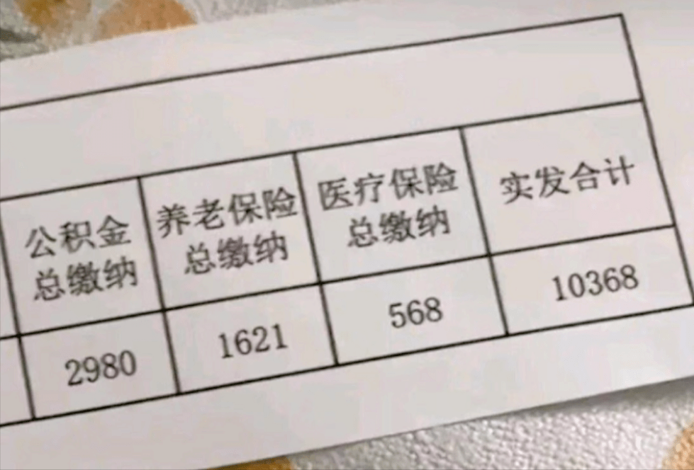 公务员工资组成(试用期公务员工资组成)