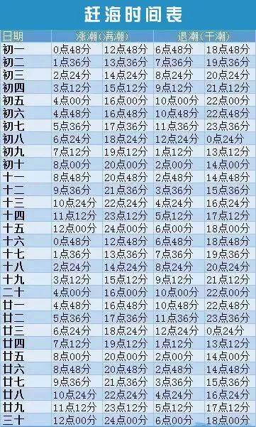 北戴河夏季必备,一站式赶海攻略,马上收藏!_秦皇岛_进行_潮汛