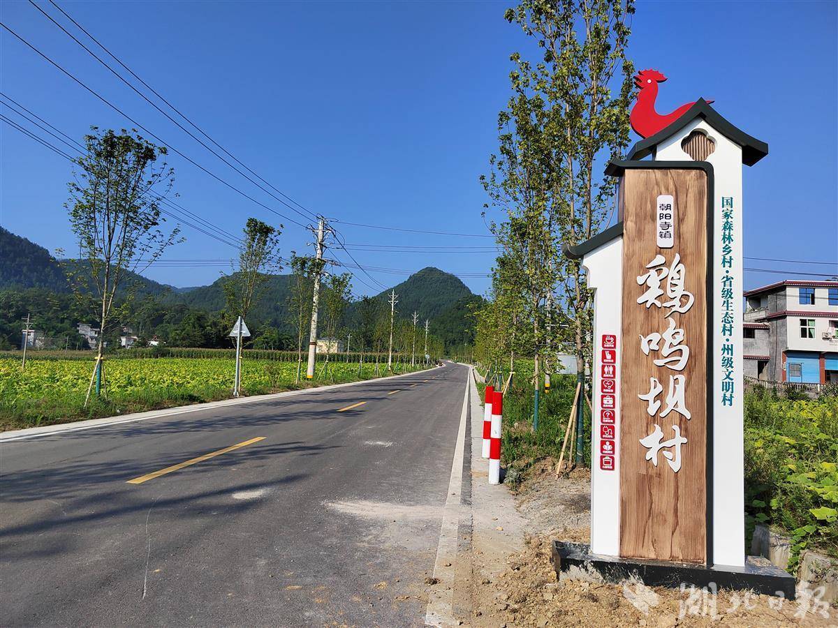 这条公路,名叫"唐朝"_朝阳寺镇_咸丰县_项目