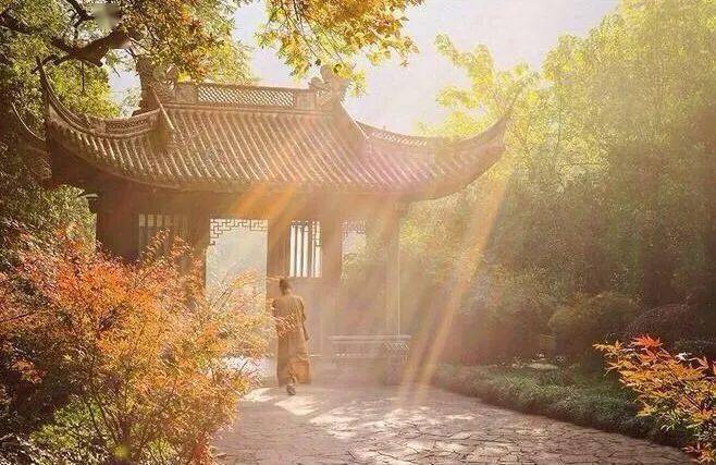 古琴|《茶佛一味》淳和淡雅,虚静绵远_心境_内心_曲禅音