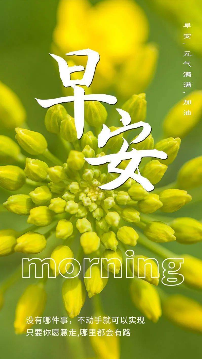 早安心语 22年8月8日 问候 心语