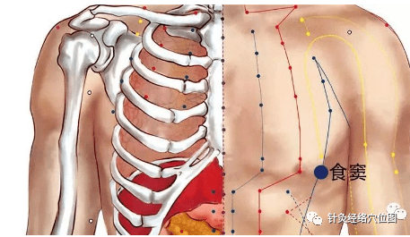 善用" 命关穴 " 的古代名医_窦材为_临床_治疗