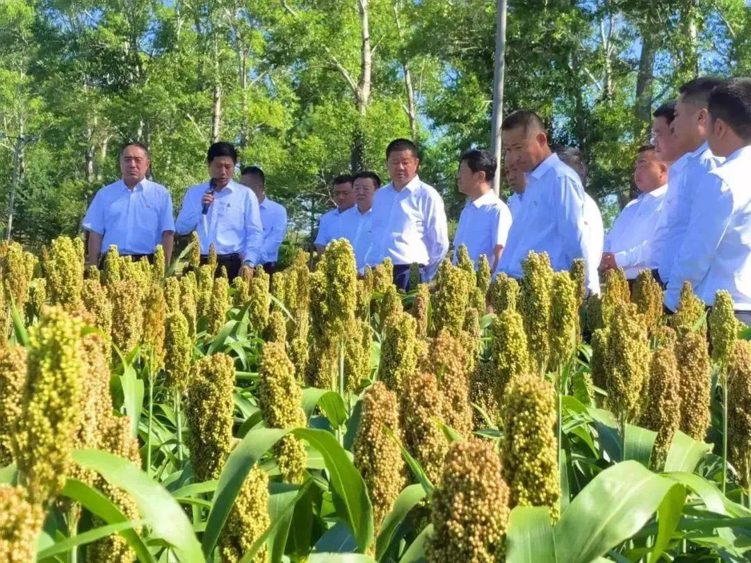 【开启高质量发展新征程】襄河农场:沉甸甸的幸福答卷_企业_生活_民生