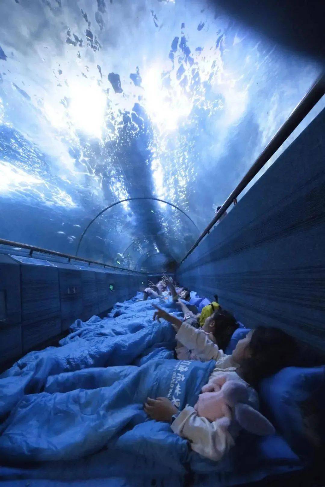 夜宿海洋馆,探寻世遗·海洋奇妙夜!_海底世界_宝贝_厦门